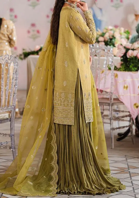 Akbar Aslam Meharzad Pakistani Luxury Raw Silk Dress