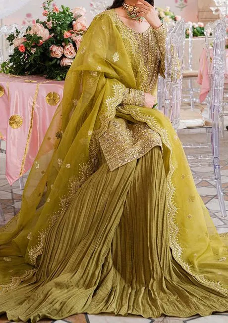 Akbar Aslam Meharzad Pakistani Luxury Raw Silk Dress