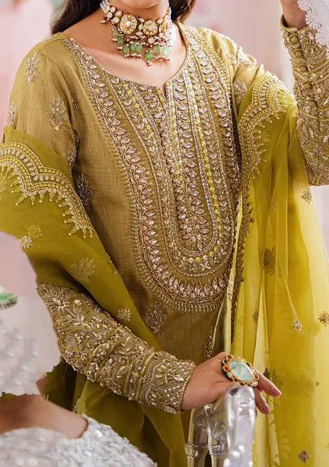 Akbar Aslam Meharzad Pakistani Luxury Raw Silk Dress