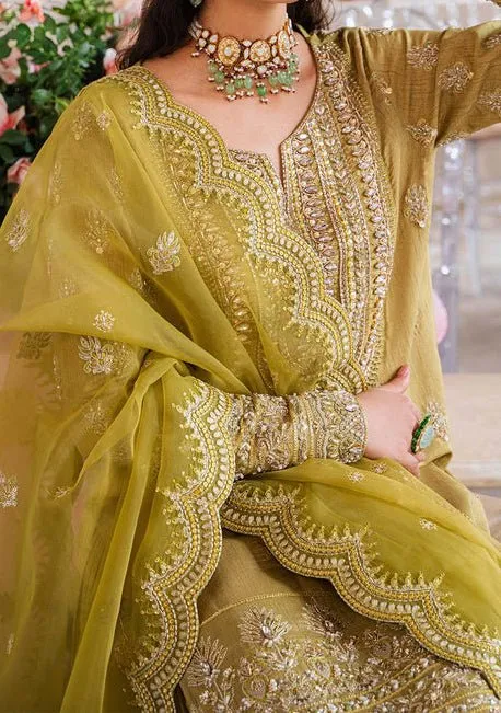 Akbar Aslam Meharzad Pakistani Luxury Raw Silk Dress