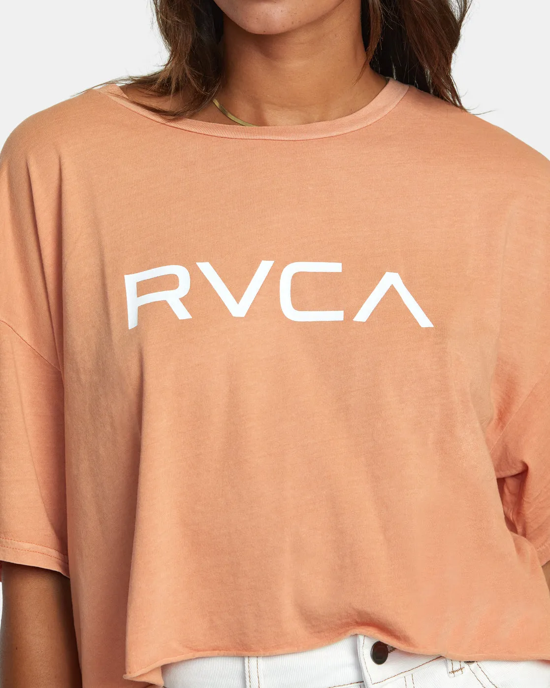 Big RVCA Short Sleeve Tee - Canyon Rose