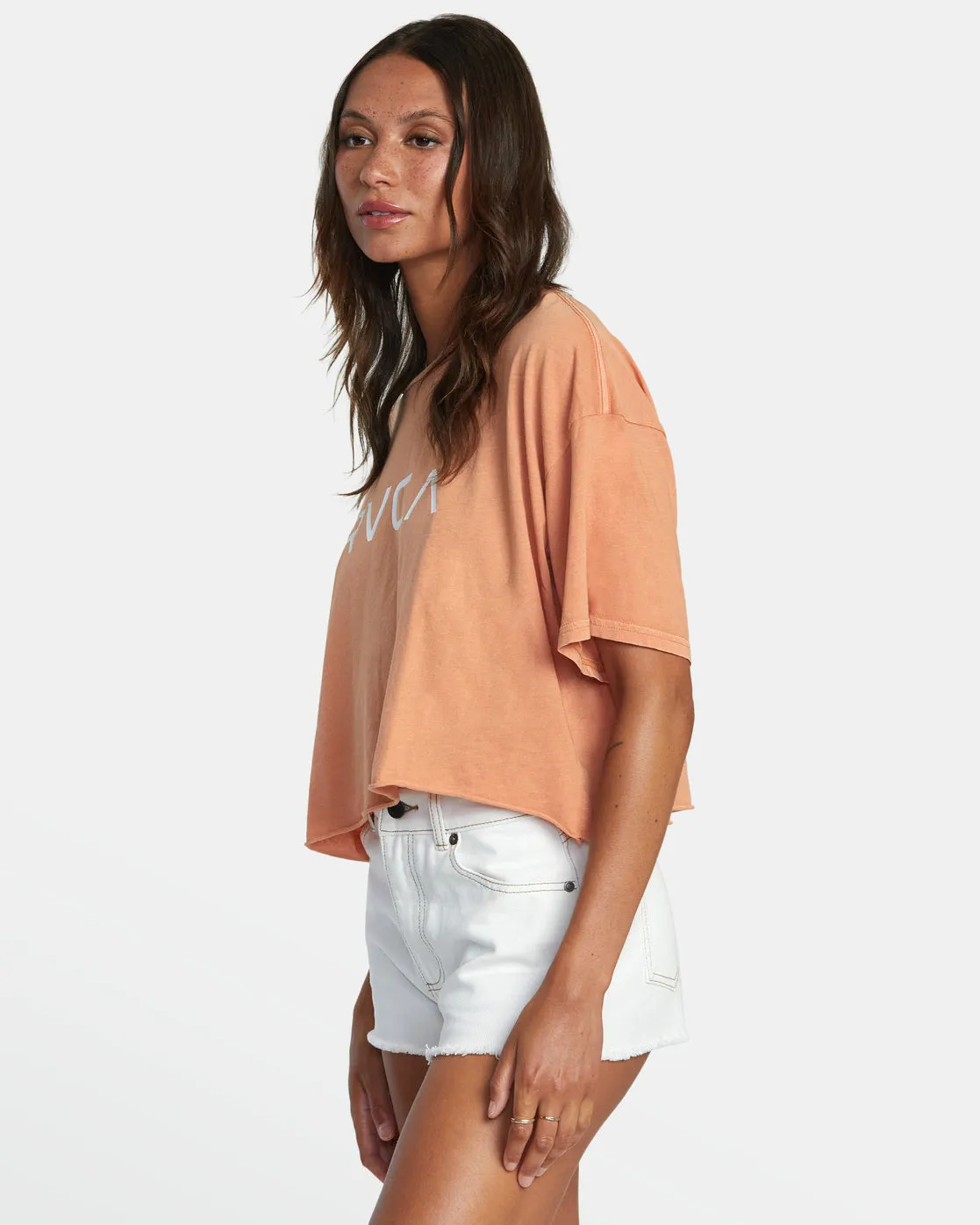 Big RVCA Short Sleeve Tee - Canyon Rose