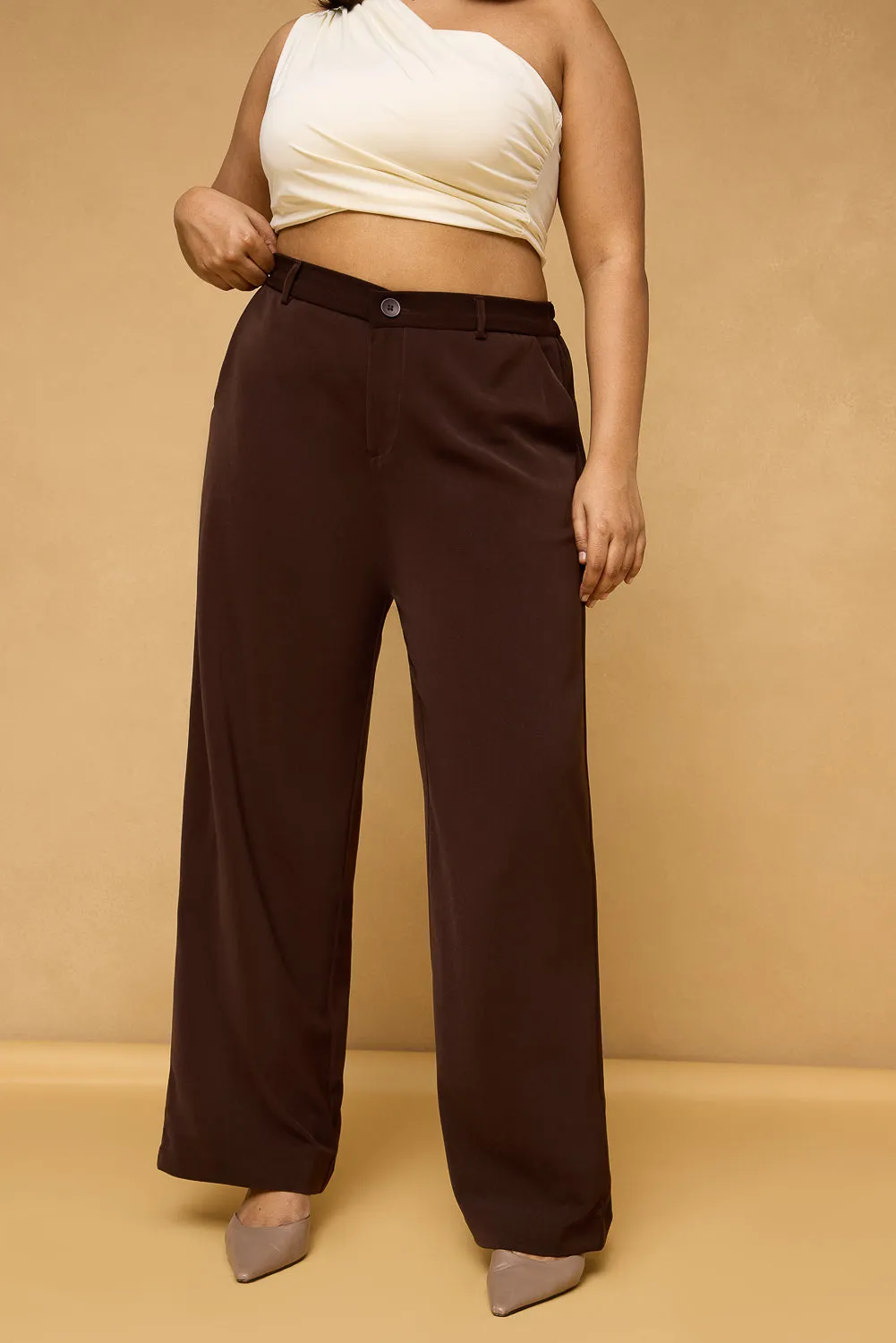 Curve Dark Brown Sleek Korean Pants