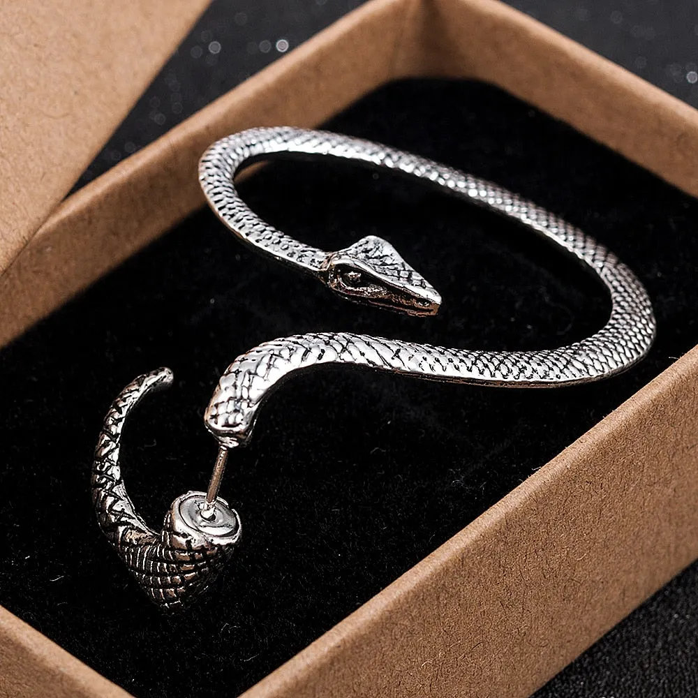 Fashion Snake Earrings