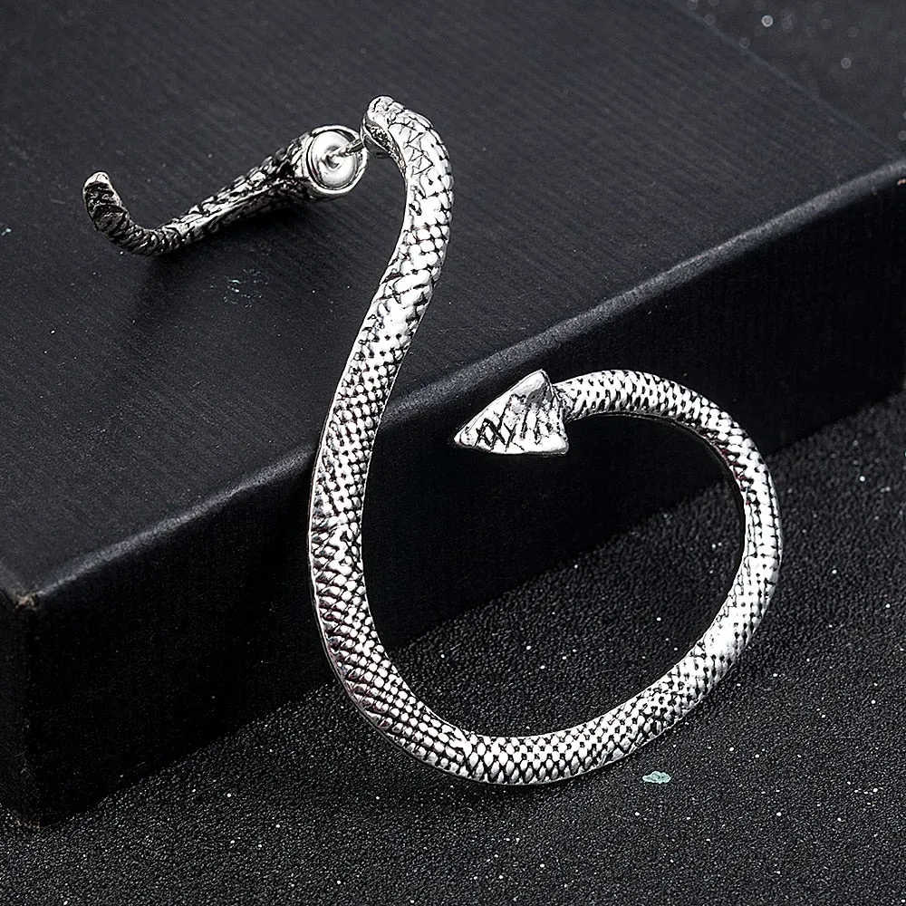 Fashion Snake Earrings